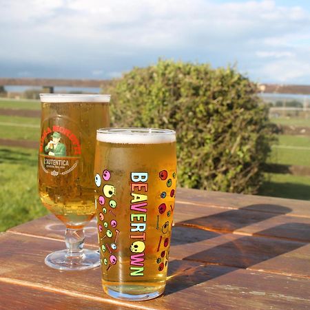 The Chequers Inn Rookley Dış mekan fotoğraf